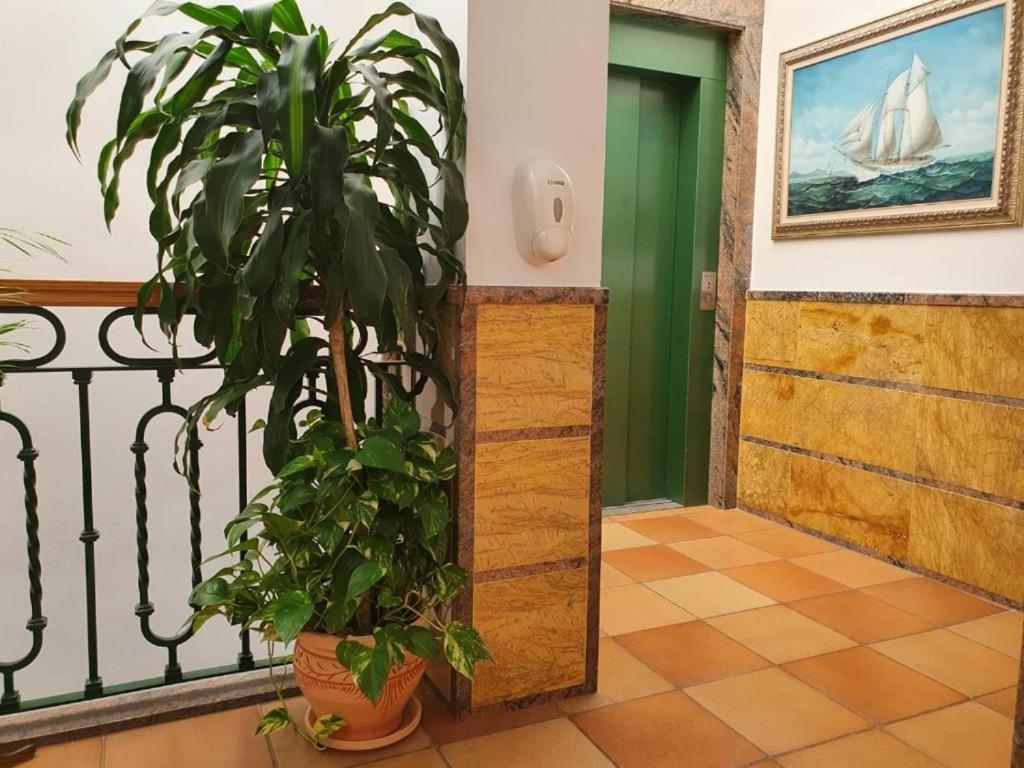 Apartamentos Leonor Carihuela 托雷莫利诺斯 外观 照片